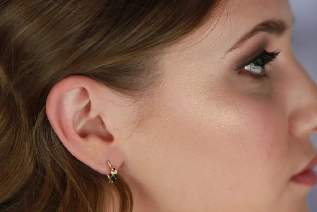 Naušnice - morčići - cover