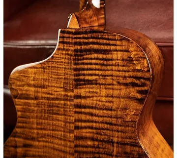 MERIDA DTGC GRAND CONCERT EQ - cover