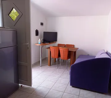 Iznajmljujem apartman na Viru - cover