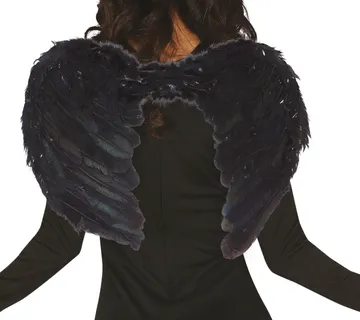 Crna pernata krila 50 cm - cover