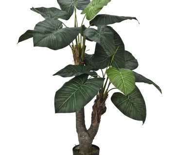 EUROPALMS Pothos palm, luxor, 175cm - cover