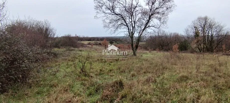 Fotografija