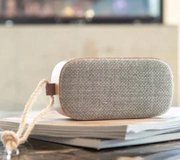 SACKit Go Wood 300 S drveni bluetooth prijenosni zvučnik %akcija% *PDV Odbitak - cover