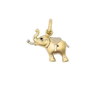 Zlatni privjesak Paula - cover