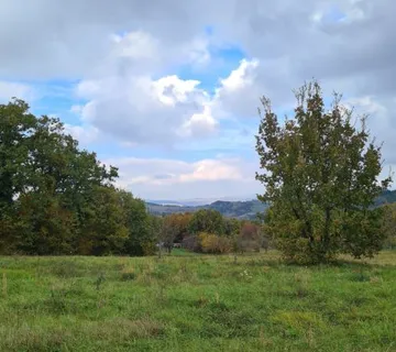 MOTOVUN-GRAĐEVINSKO ZEMLJIŠTE SA PROJEKTOM ZA GRADNJU - cover