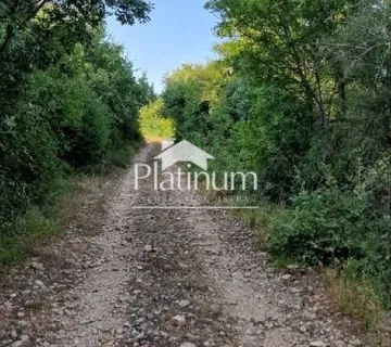 ISTRA GALIŽANA POLJOPRIVREDNO 2250m2 - cover