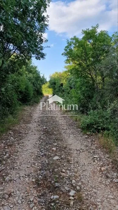 Fotografija