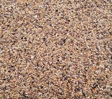 4687 Gould EXCELLENT 20kg - cover