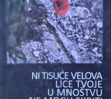 NI TISUĆE VELOVA LICE TVOJE U MNOŠTVU NE MOGU SKRITI Gordan Vlajčević - cover