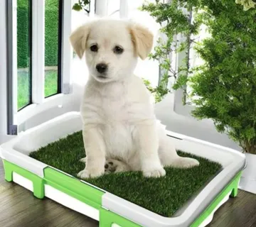 WC ili Toalet za pse Green Trainer - cover