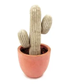 EUROPALMS Mexican Cactus, 40cm - cover