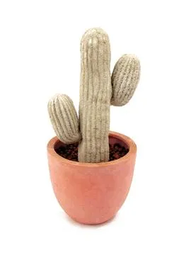 EUROPALMS Mexican Cactus, 40cm - cover