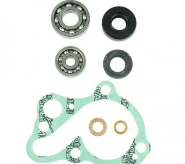 BRTVE VODENE PUMPE MOTOCIKLA - cover