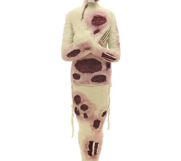 EUROPALMS Halloween Egyptian mummy - cover