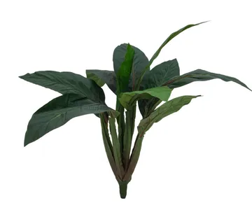 EUROPALMS Sago palm tree, 45cm - cover