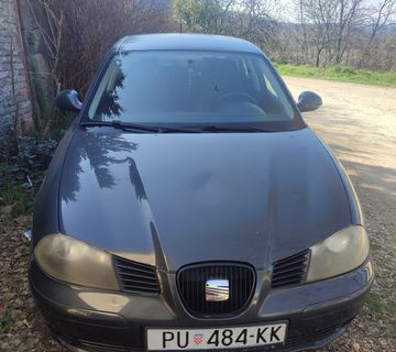 Seat Cordoba 1,4 16V, 2006. - cover
