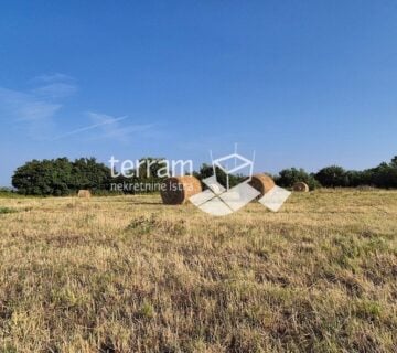 Istra, Kanfanar građevinsko zemljište 3292m2, panorarmski pogled na more  #prodaja - cover