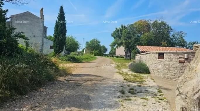 Fotografija
