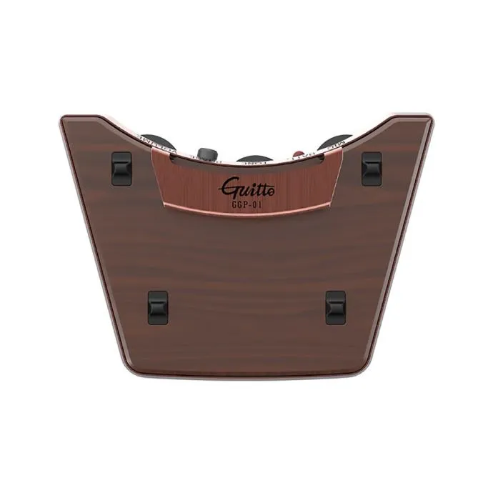GUITTO GGP-01 PICKUP - cover