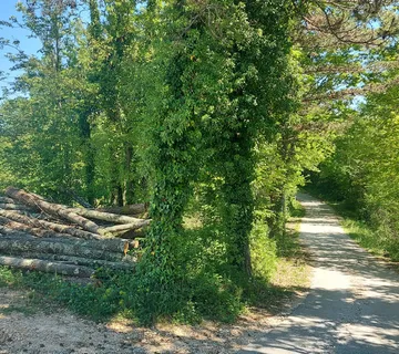 Z-654, PAZIN – STANCIJA PATAJ, građevinsko zemljište 1488m2 - cover