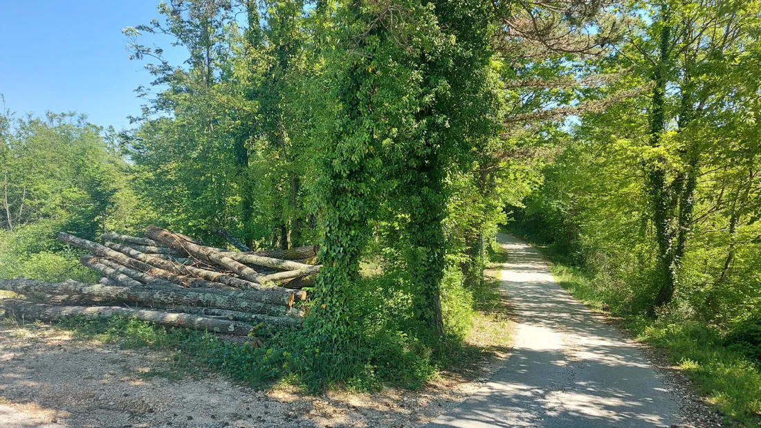 Z-654, PAZIN – STANCIJA PATAJ, građevinsko zemljište 1488m2 - cover