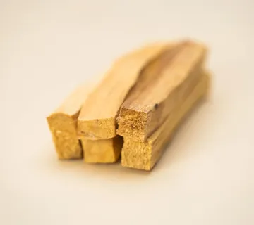 SATORI PALO SANTO - cover