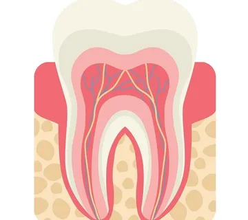 Parodontologija - cover