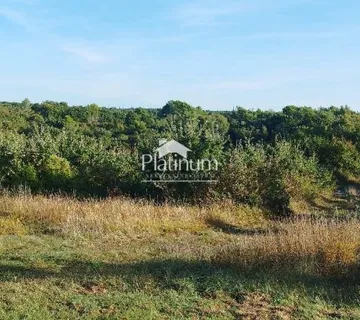 Istra,Juršići građevinska parcela veličine 1768 m2 - cover