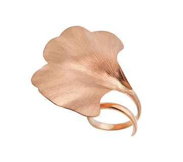 Ginko prsten - cover