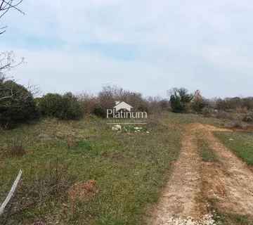 Istra,Šišan poljoprivredna parcela 503 m2 na prodaju - cover