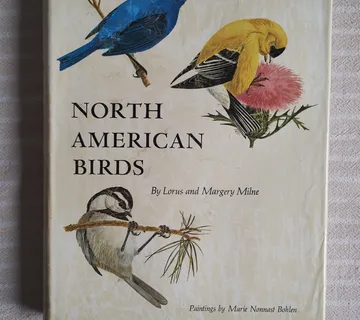 L. MILNE M. NONNAST BOHLEN NORTH AMERICAN BIRDS 1969 engleski jezik - cover