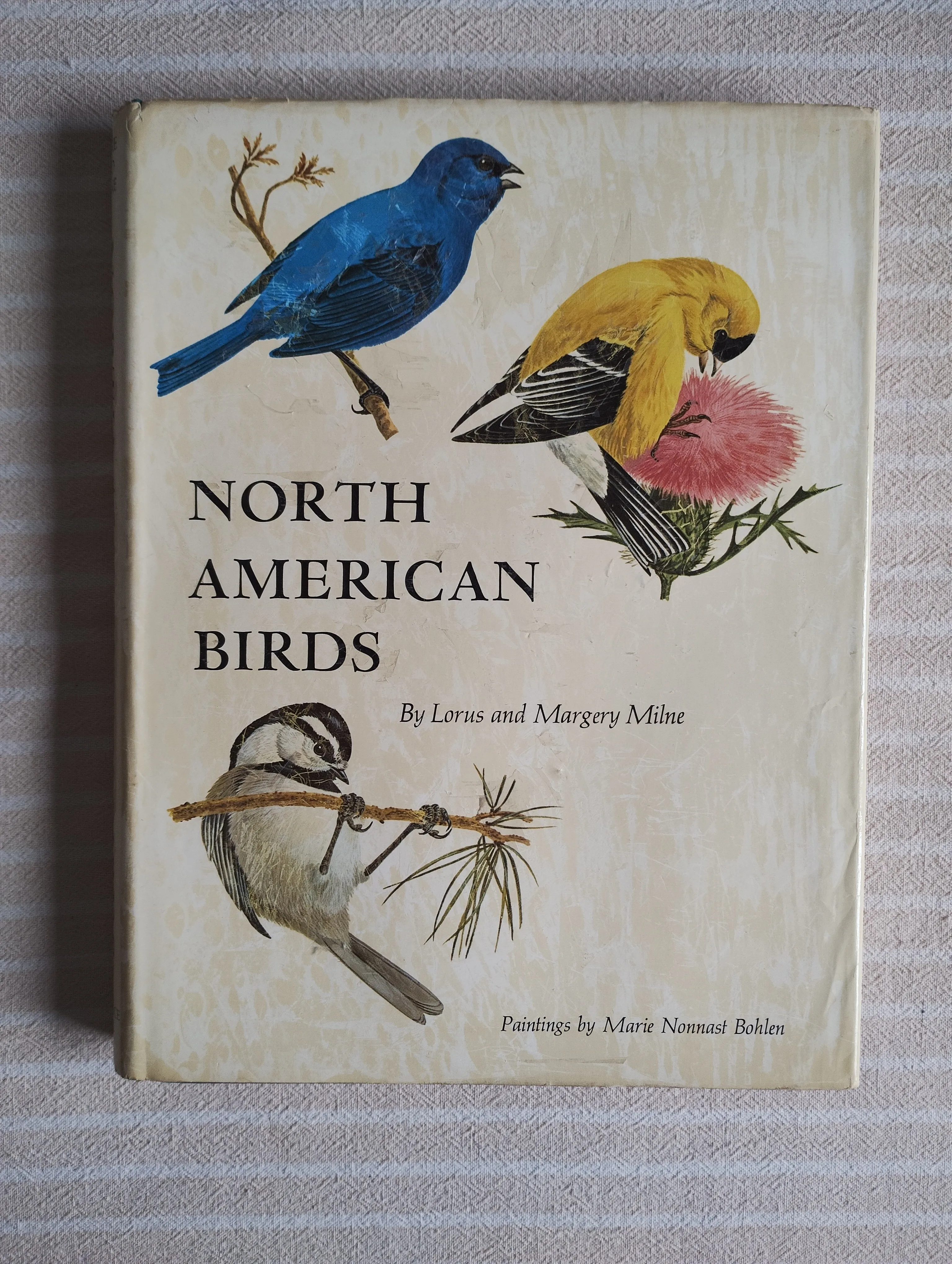 L. MILNE M. NONNAST BOHLEN NORTH AMERICAN BIRDS 1969 engleski jezik - cover