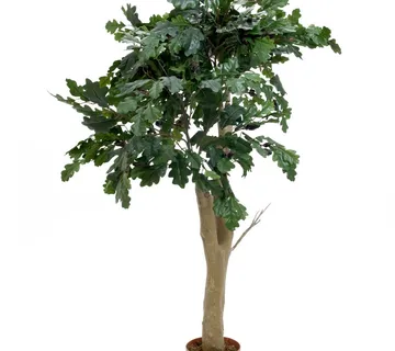 EUROPALMS Oak tree, 180cm - cover