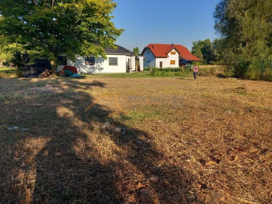 Fotografija