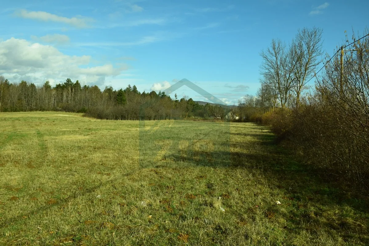 Fotografija