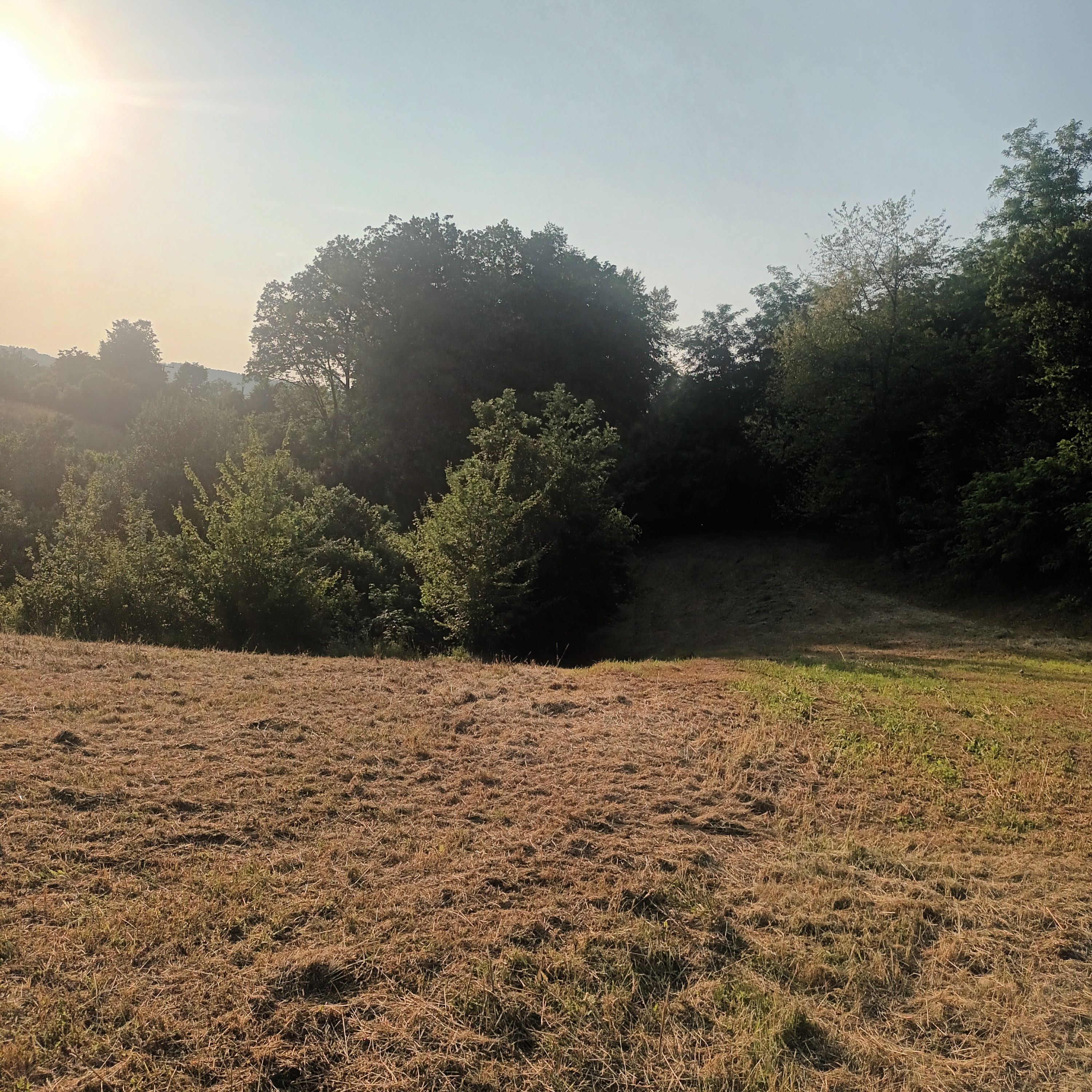 Fotografija