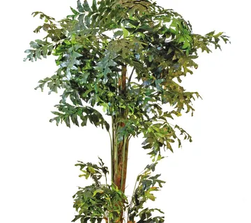 EUROPALMS Fishtail bush, 305cm - cover
