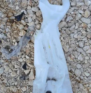 RENAULT SCENIC 4 2021 POSUDA VODE BRISAČA - cover