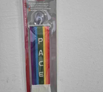 ZAVJESICA-PACE - cover
