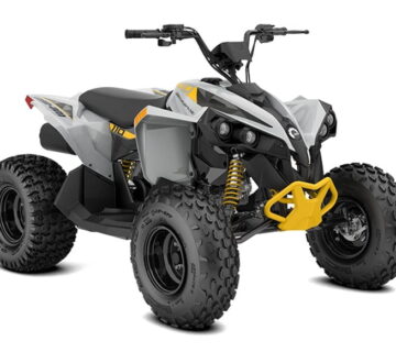 CAN-AM RENEGADE STD 110 EFI - cover