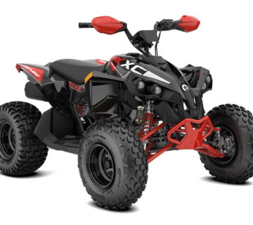 CAN-AM RENEGADE STD 250 - cover