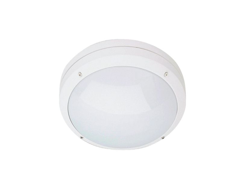 CANTO_WHITE