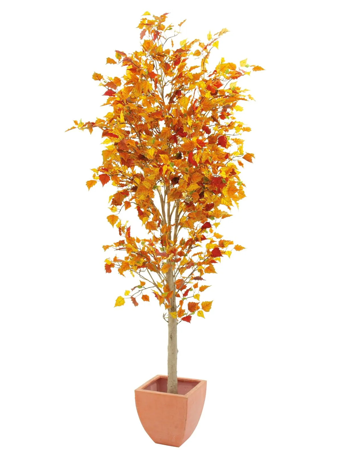 EUROPALMS Autumn tree, 210cm - cover