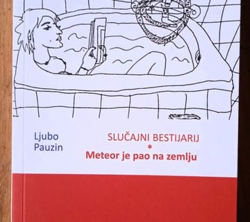 SLUČAJNI BESTIJARIJ Meteor je pao na zemlju Ljubo Pauzin - cover