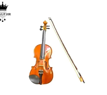 VIOLINA S GUDALOM / R1, RATE! - cover