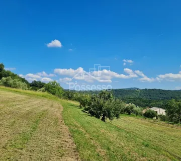 Zemljište Prodaja Vrh 2744 m2 - cover