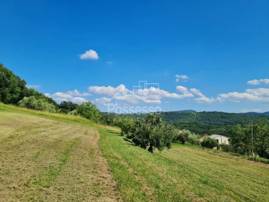 Zemljište Prodaja Vrh 2744 m2 - cover