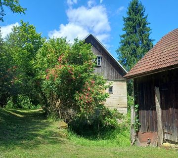 Gorski kotar-Kuća i 33.800 m2 zemljišta na kojem je večinom šuma - cover
