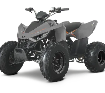 Linhai ATV 110 - cover