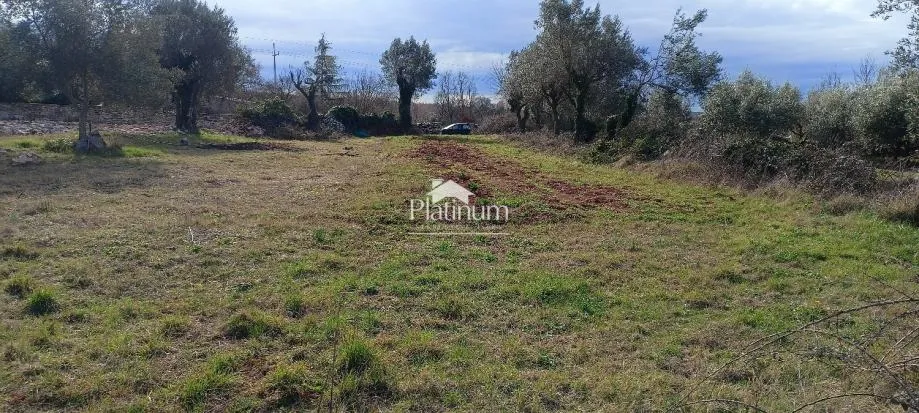 Fotografija